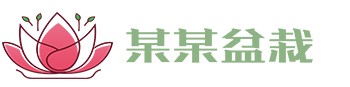 esb世博网·(中国区)官方网站